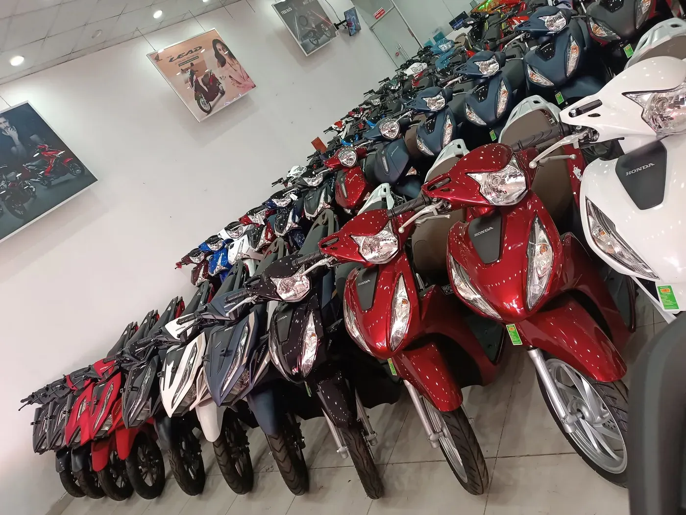 Dàn Honda Vision tại showroom CN1 Luân Thành Công — Luân Thành Công Bình Dương