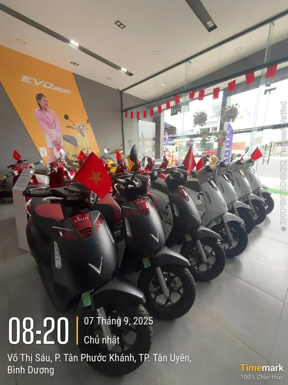 Dàn xe máy điện VinFast tại showroom Luân Thành Công Tân Khánh Bình Dương