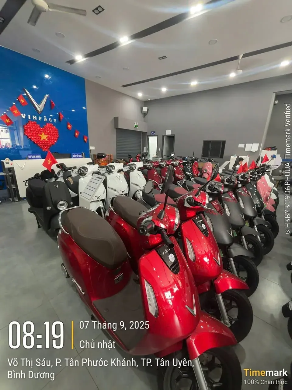 Bên trong showroom VinFast Luân Thành Công Tân Khánh Bình Dương