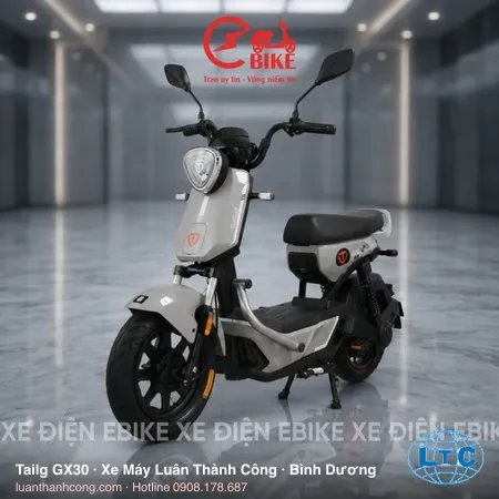 Tailg GX30 Xe đạp điện chính hãng tại Bình Dương – Xe Máy Luân Thành Công