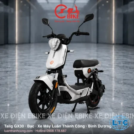 Tailg GX30 màu Bạc tại Bình Dương – Xe Máy Luân Thành Công